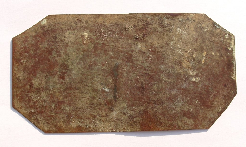 PLAQUE_DOS_REDUITE.JPG