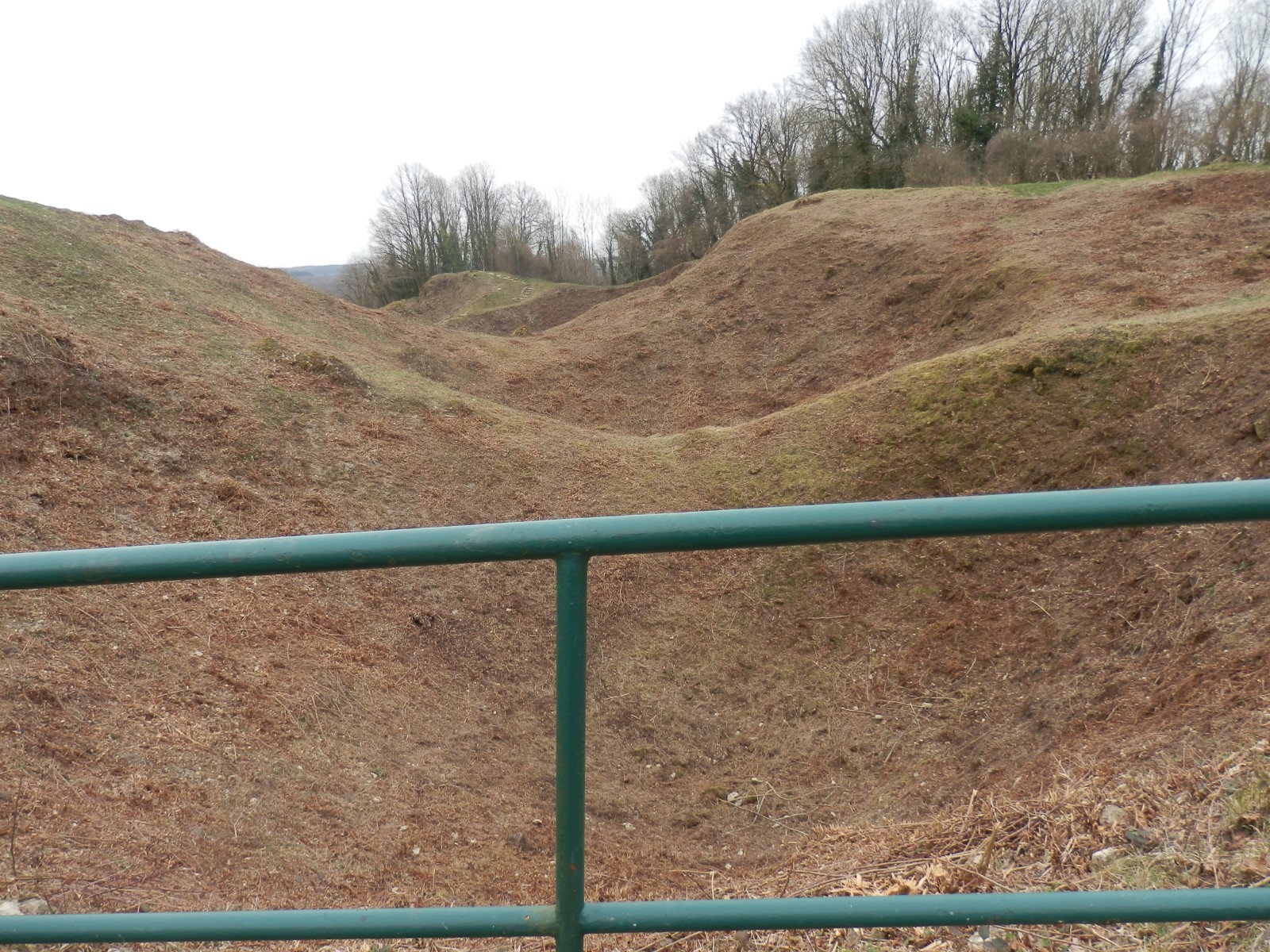 vauquois cratere de mine.jpg
