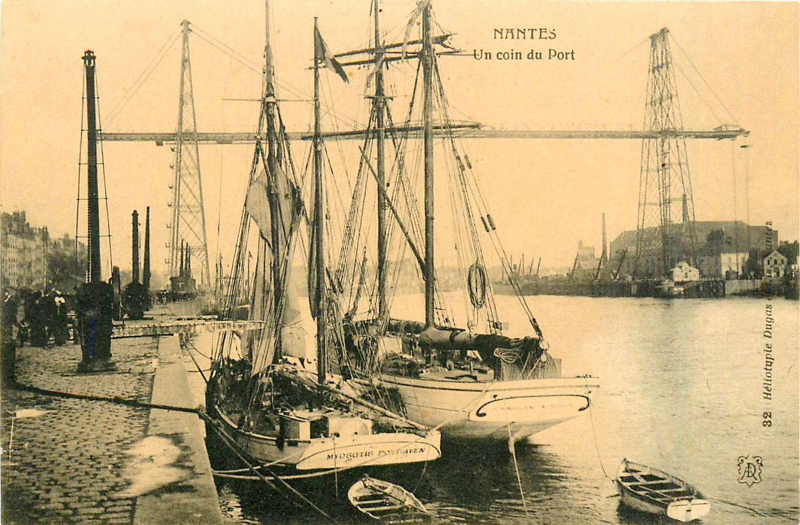 MYOSOTIS – Dundée – I  – .jpg
