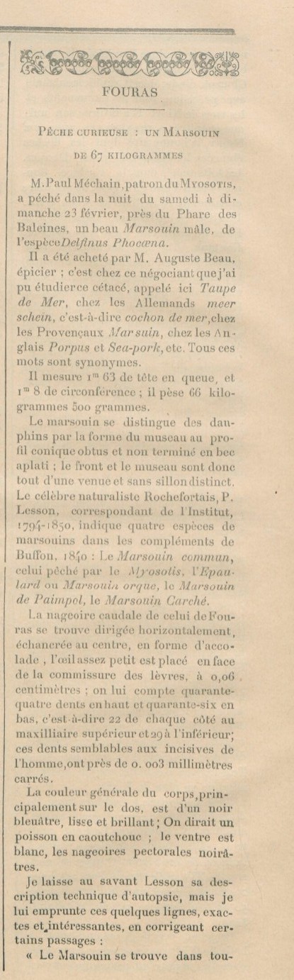 MYOSOTIS La Lune de Fouras 1896-03-08 A.jpg