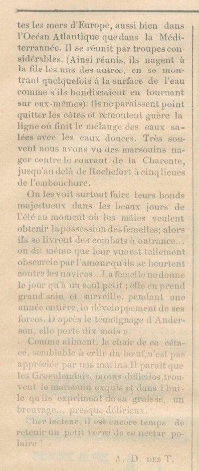 MYOSOTIS La Lune de Fouras 1896-03-08 B.jpg
