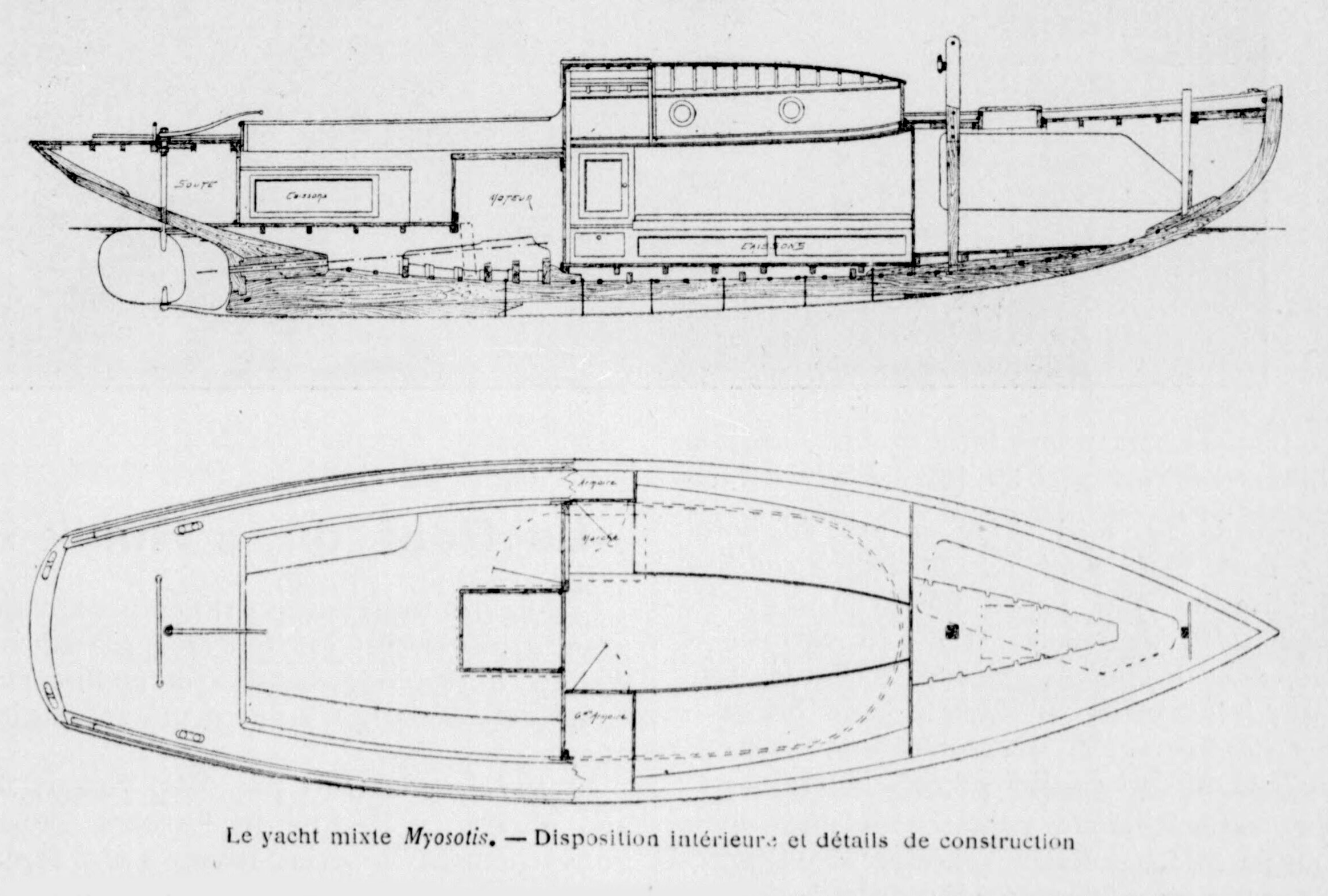 MYOSOTIS – Yacht mixte – B – .jpg