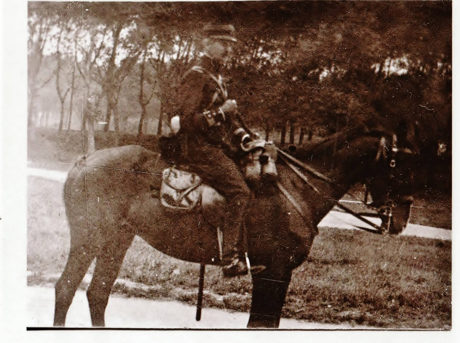 A cheval (2)-min (2).jpg