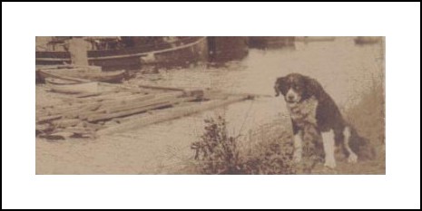 SAINT BARNABE La Bouille - chien assis.jpg