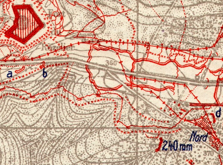 2401884Rzr0916.jpg