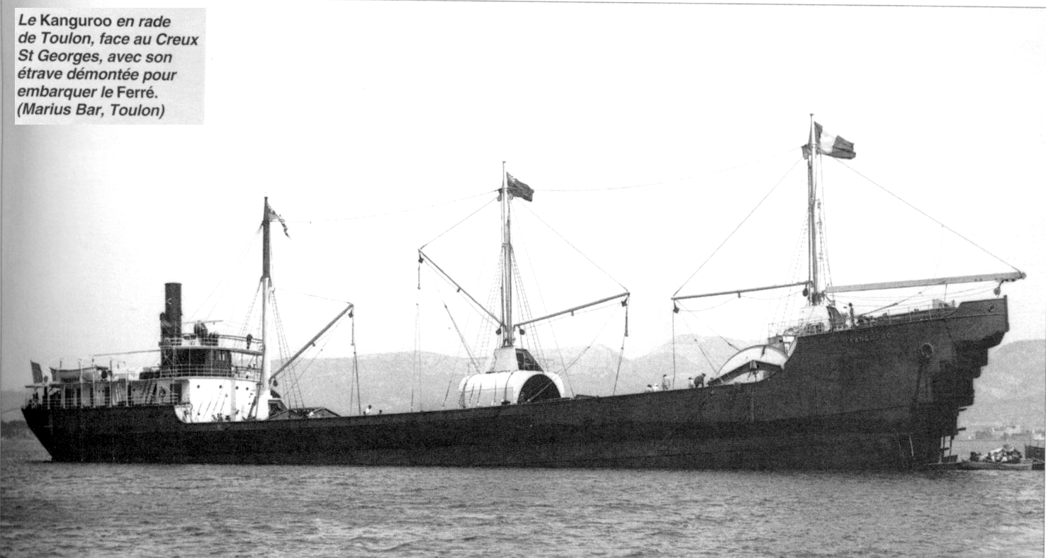 725094kanguroo.jpg