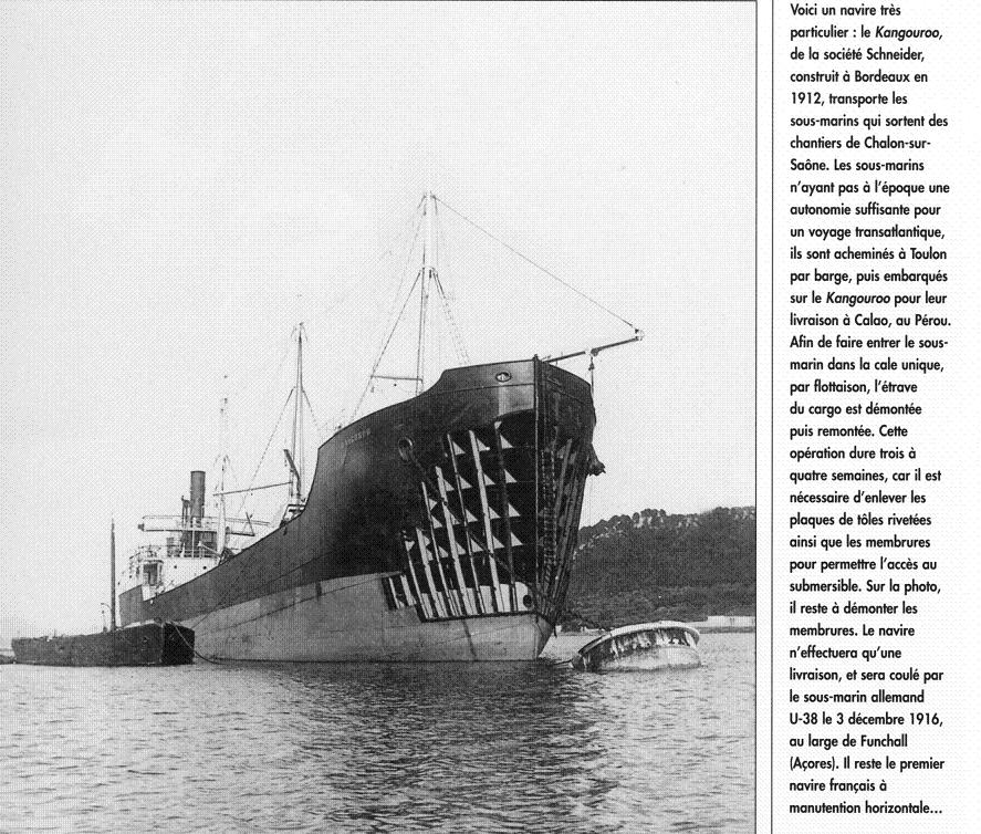kangourooqw0.jpg
