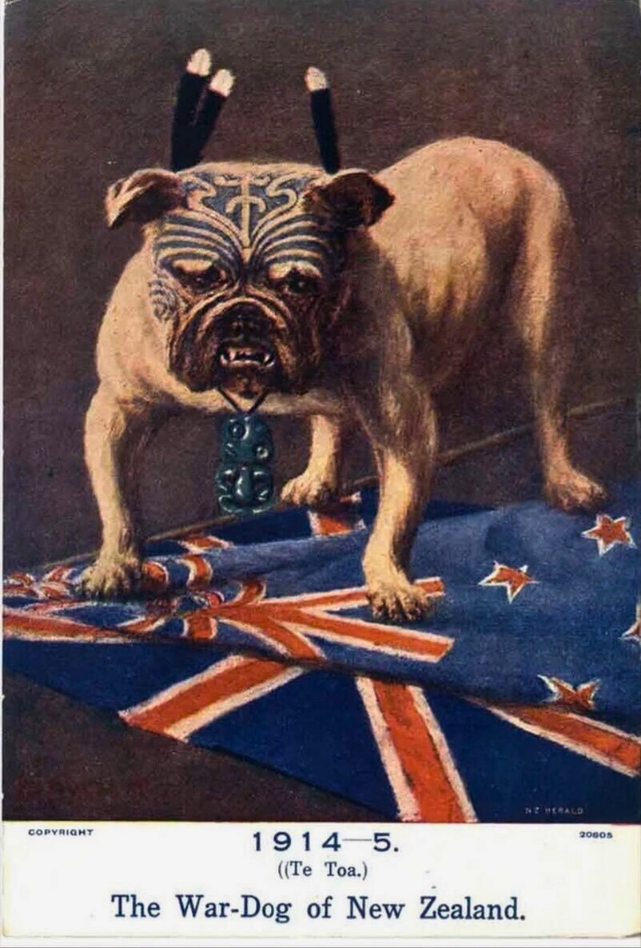 &quot;The War Dog of New Zealand, 1914&quot;, œuvre originale de l'artiste écossais J.D. Perrett, fut ensuite imprimé sous forme de cartes postales destinées aux soldats néo-zélandais écrivant à leur famille.<br />Cette carte postale de 1914 représente un bouledogue — symbole de force et de détermination — orné de tatouages faciaux maoris, d’un collier et de plumes sur la tête, évoquant l’identité culturelle de la Nouvelle-Zélande.<br />L’image associe la fierté nationale à l’effort de guerre, représentant le pays comme un combattant redoutable.