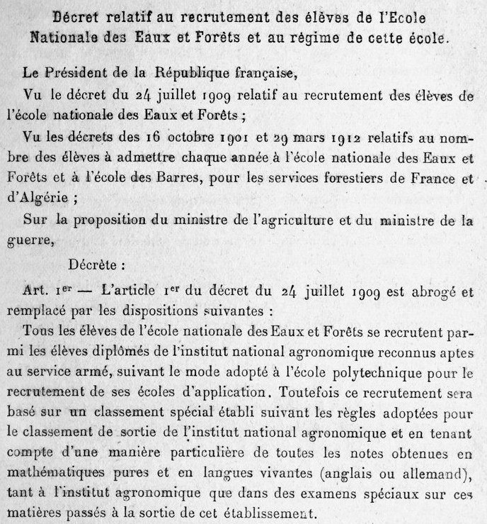 1917 Organisation 1.jpg