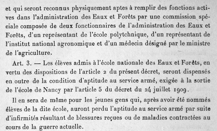 1917 Organisation 3.jpg