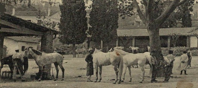 647_001.jpg