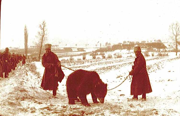 Photographies de C TAILLEMITE janvier 1918 1.jpg