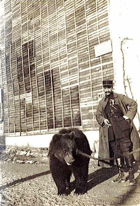 Photographies de C TAILLEMITE janvier 1918.jpg