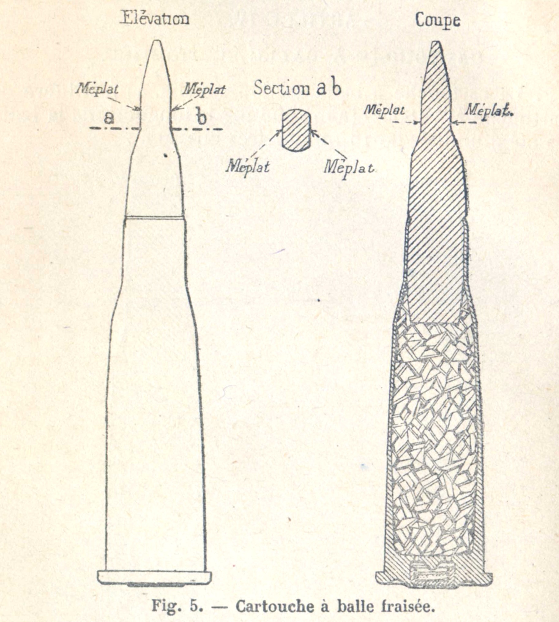B 3.jpg