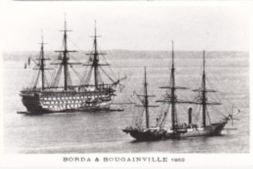 BORDA BOUGAINVILLE 1862.jpg