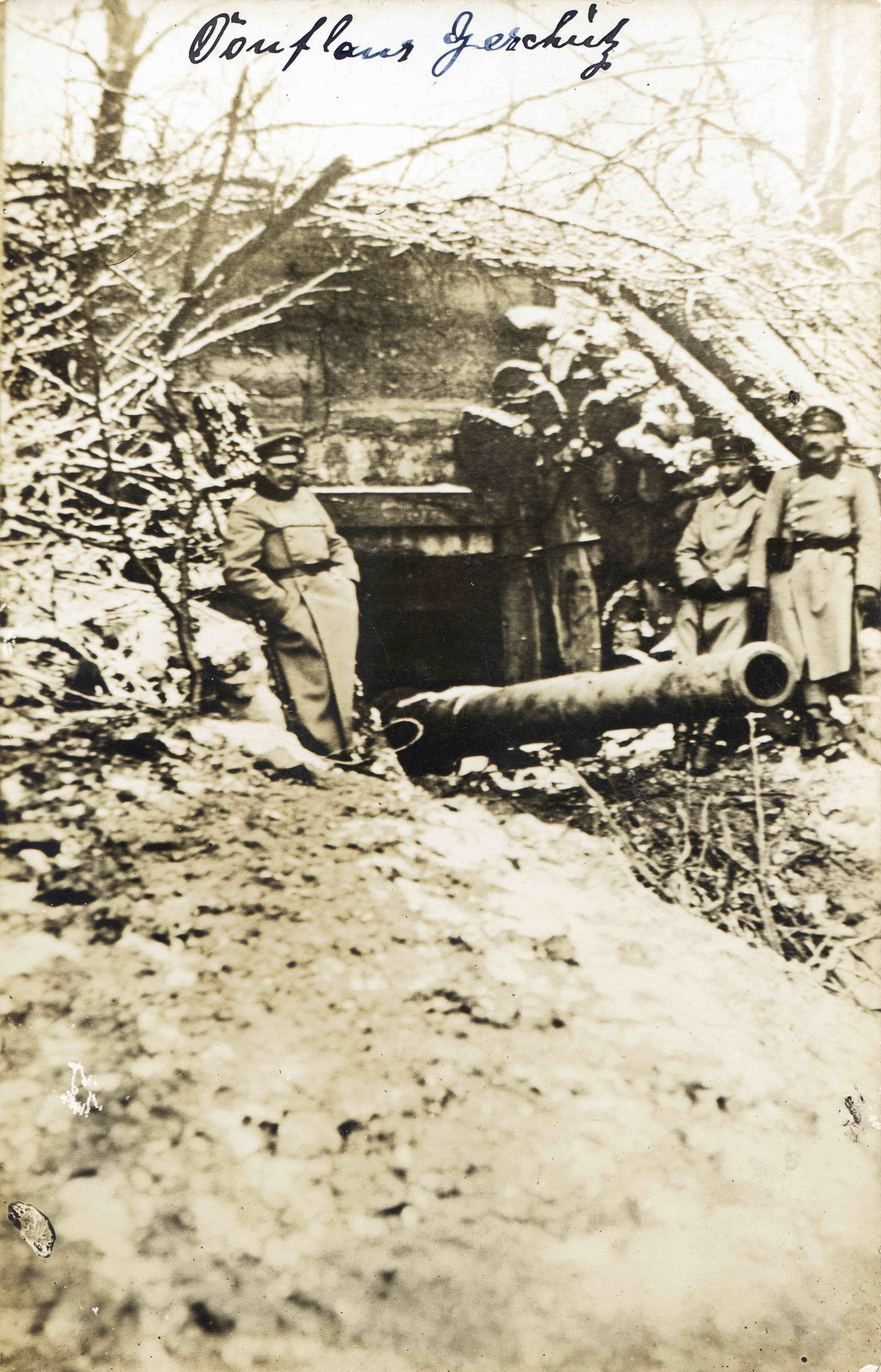 Herbebois.jpg