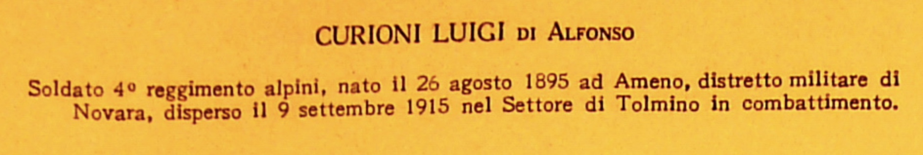 Luigi .png