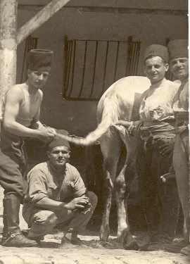 LepicardMaximeArmée2.jpg