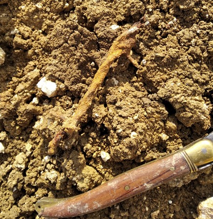 barbelé français .jpg