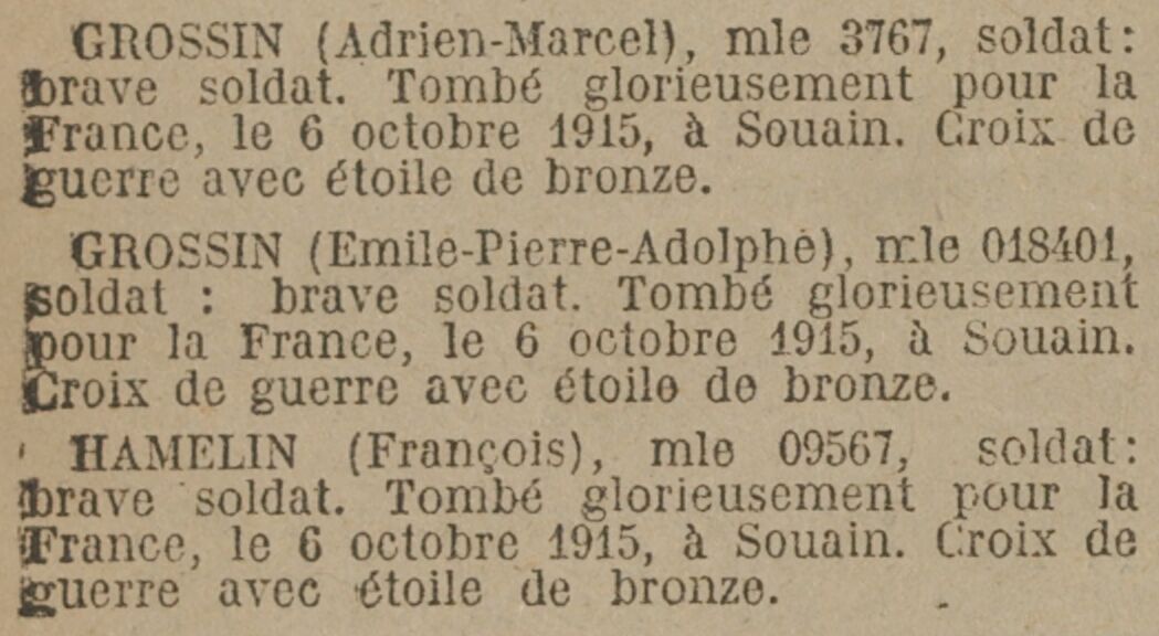 310e RI GROSSIN HAMELIN.jpg
