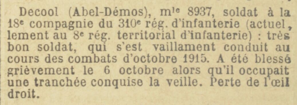 310e RI DECOOL.jpg