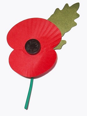 Remembrance poppy 2.jpg