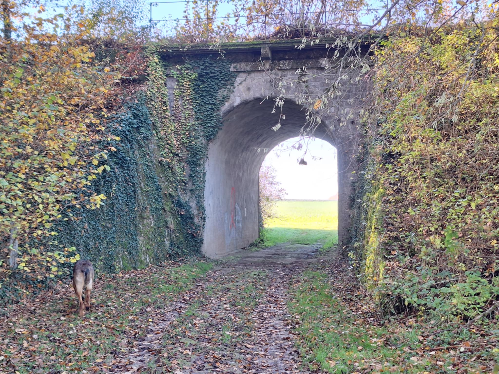 Pont des vins voute.jpeg