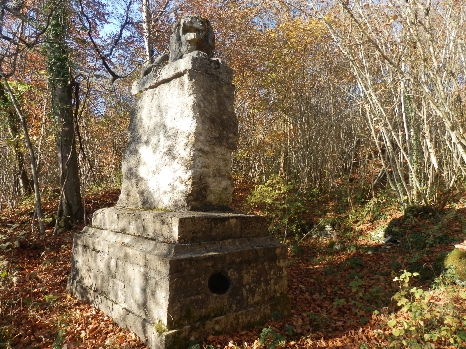 autre vue lion.jpg