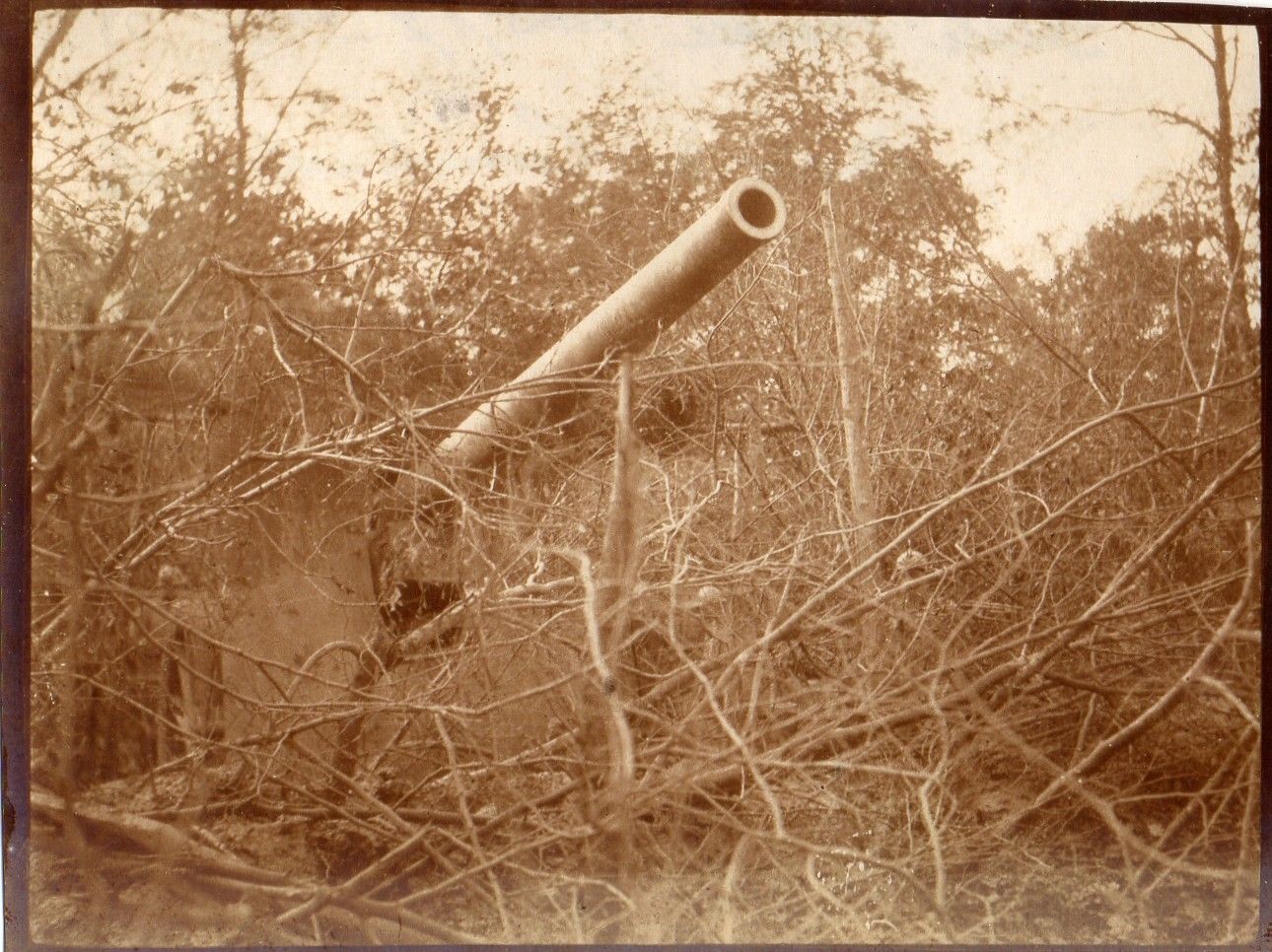 Photo-VERDUN-canon-russe-Bois-de-Lomberchamp-près.jpg