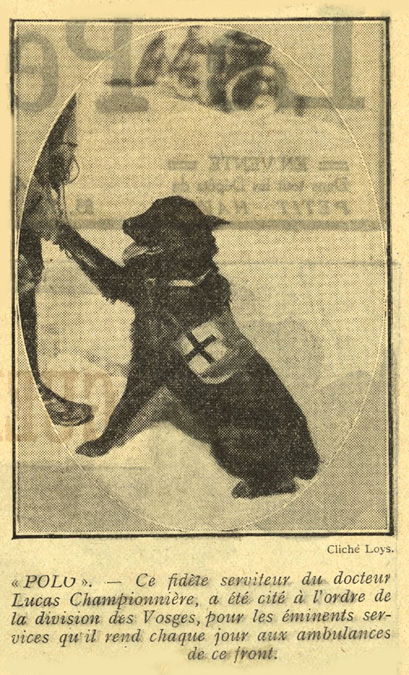 L.P.H.I. 1915 - 226 - 2 - .jpg