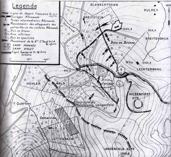 HILSENFIRST (combats).jpg