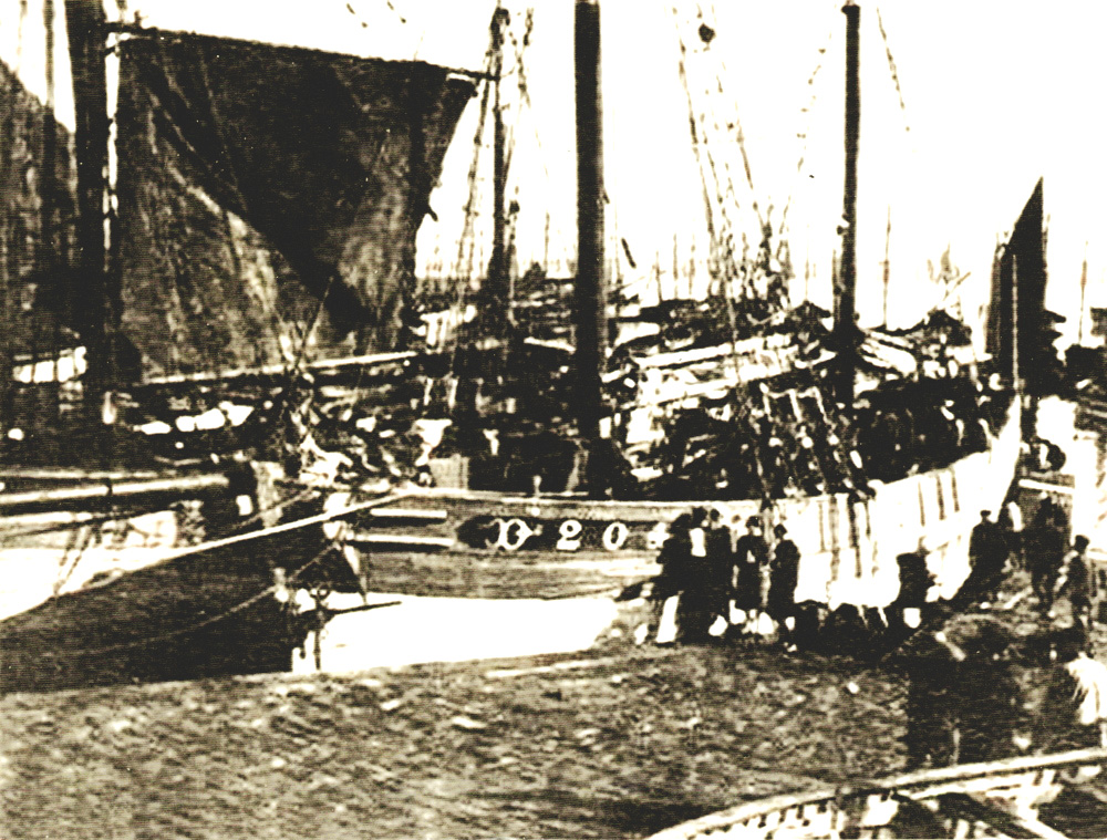 TROPIQUE [I] - Dundée langoustier - I -  .jpeg