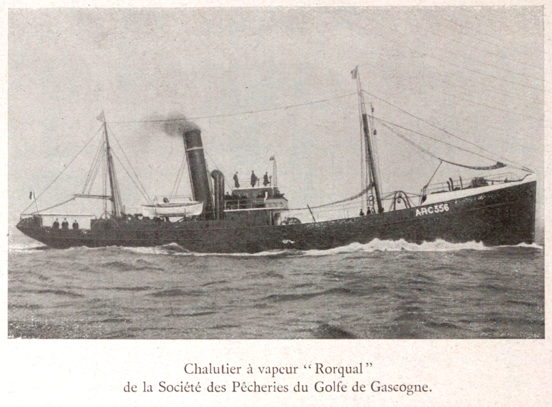 RORQUAL - Chalutier - I - .jpeg