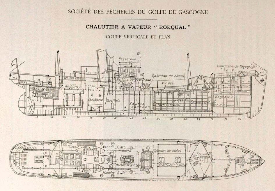 RORQUAL - Chalutier - Plan. - .jpeg