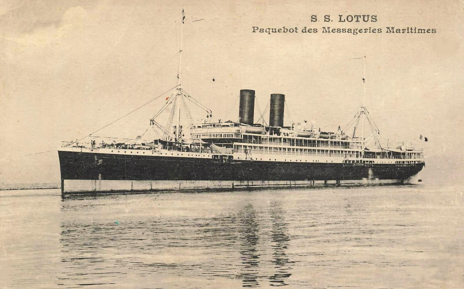 LOTUS – Paquebot – IV – .jpg