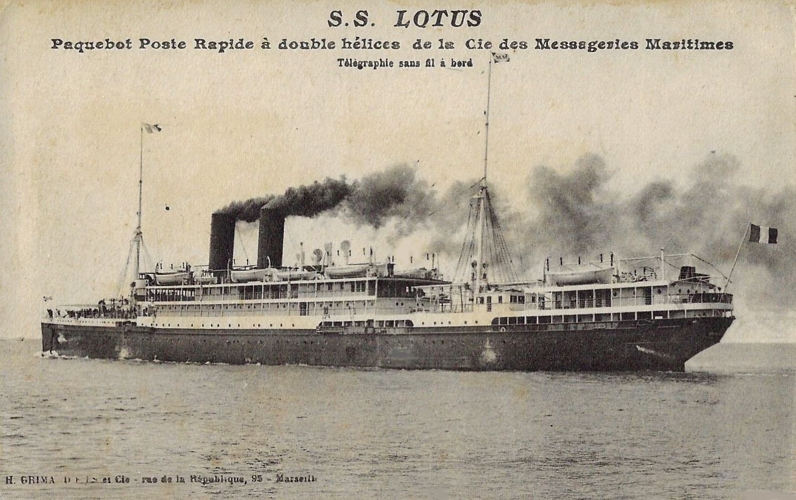 LOTUS – Paquebot – V – .jpg