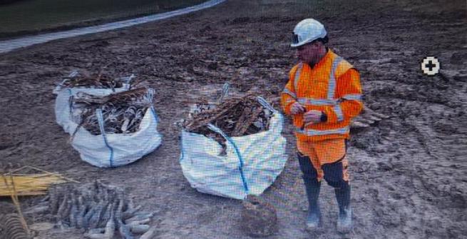 déminage canal d'europe à allaines janvier 2026.jpg