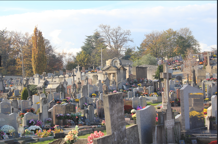 Capture d'écran 2026-02-06 124235.png