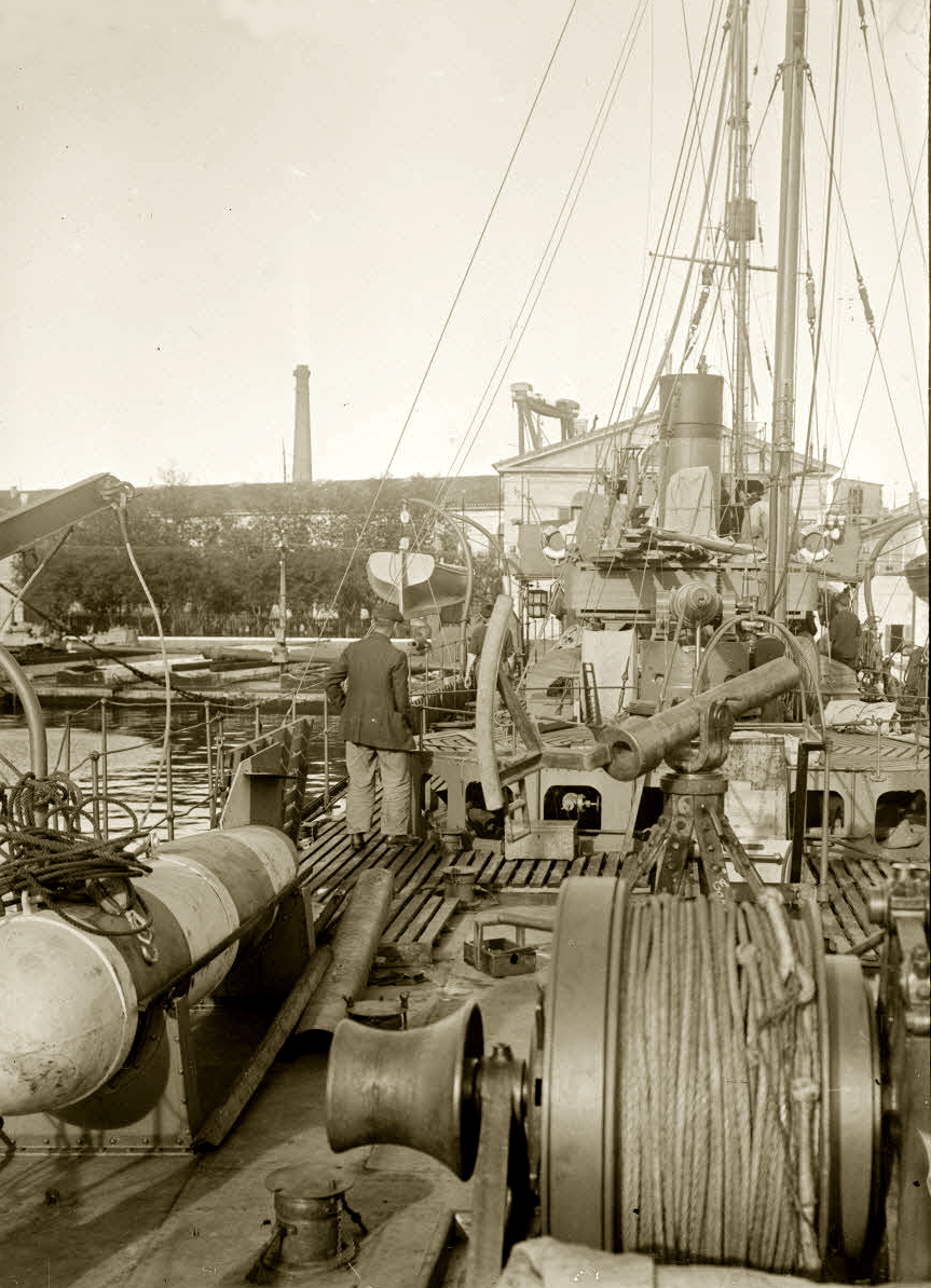 TAPAGEUSE – Canonnière – C – .jpg