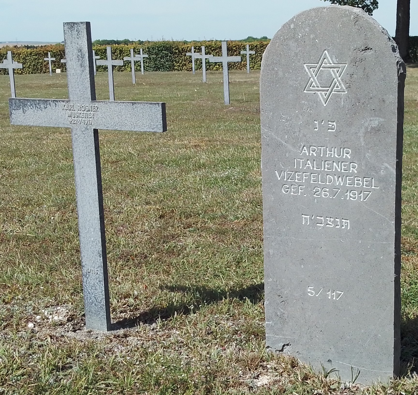 IMG_20200722_121356877 - Copie.jpg