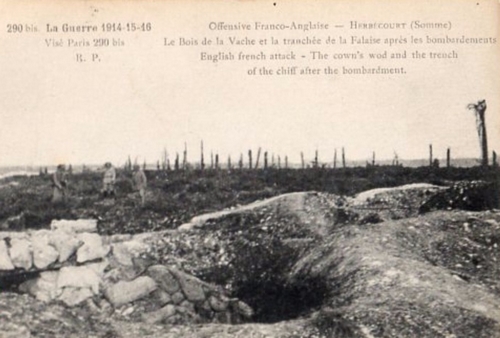 HERBECOURT bois de la vache 2.jpg