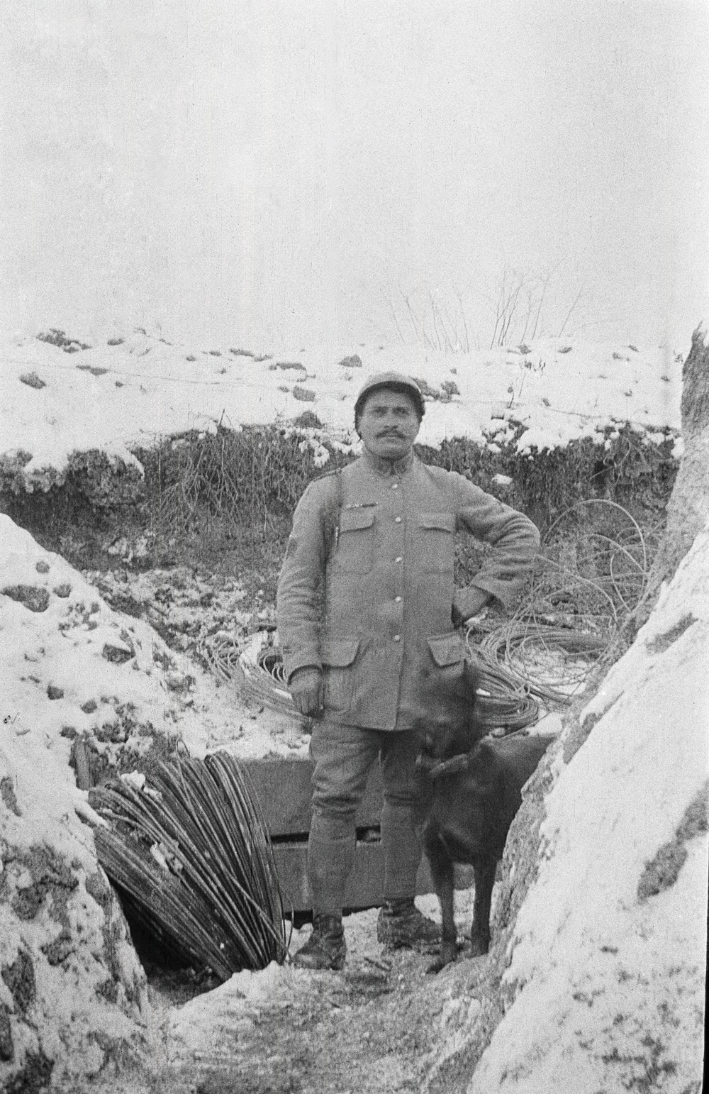 Soldat Chien