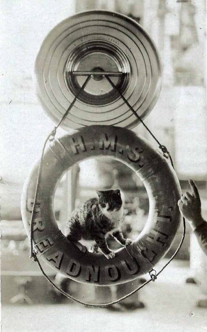 DREADNOUGHT dreadn14.jpg