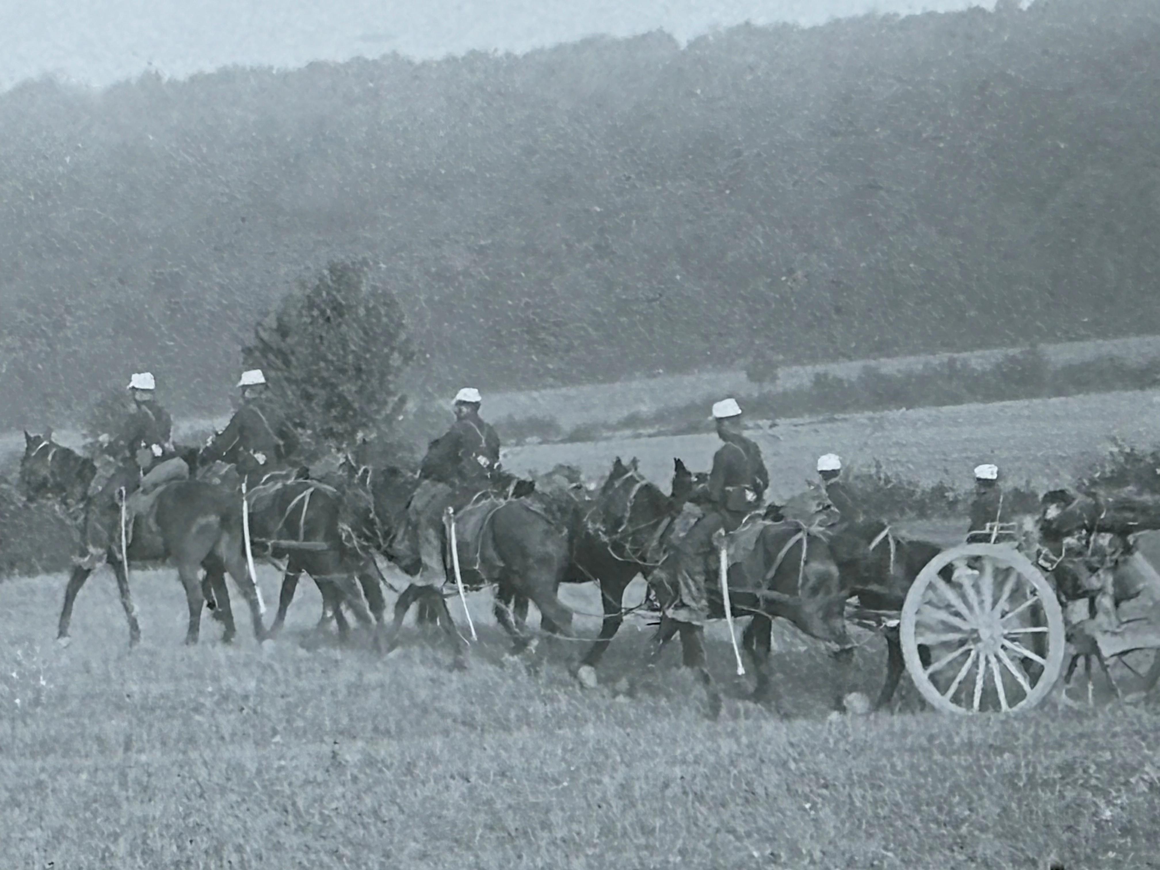 French troops gun. with horses 1aa.jpg
