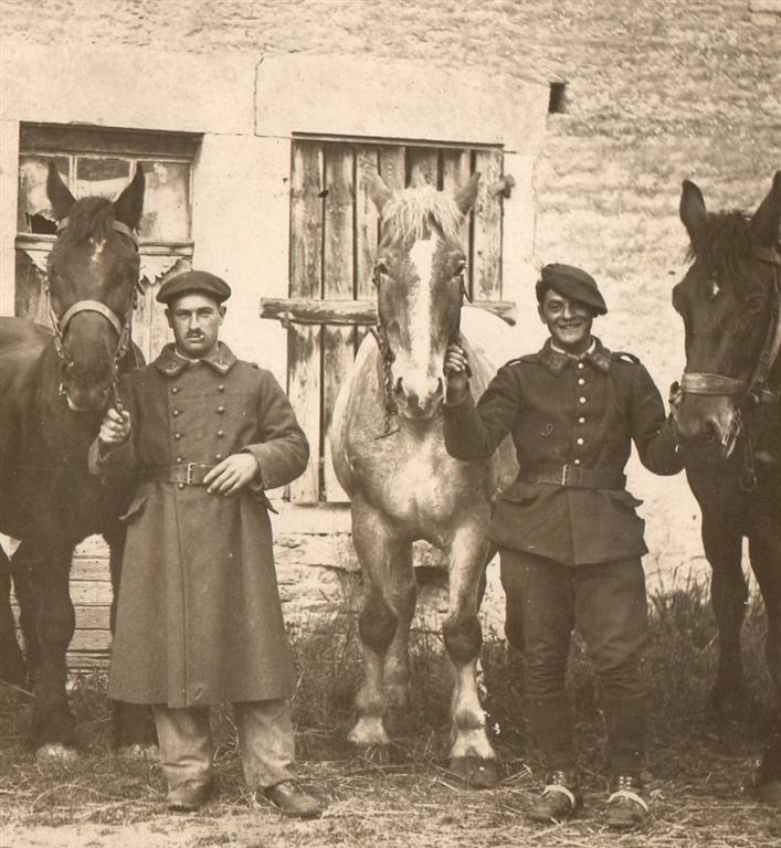 Soldats avec chevaux