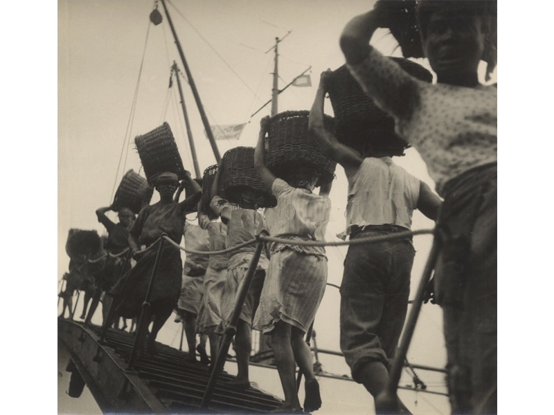 Charbonnières à Fort de France en 1930, chargeant un navire de la Transat.jpg