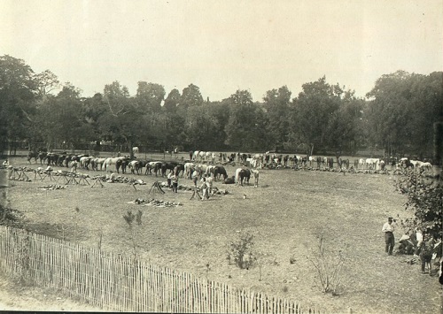 la grange aux bois12.jpg