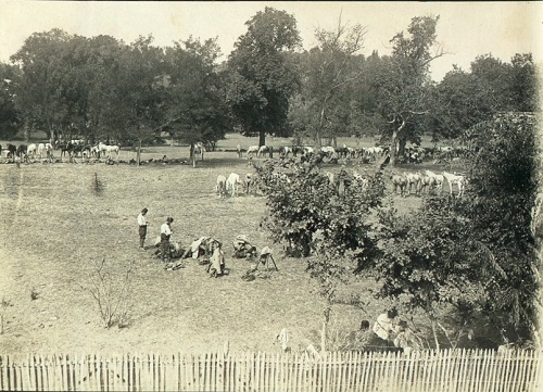 la grange aux bois13.jpg